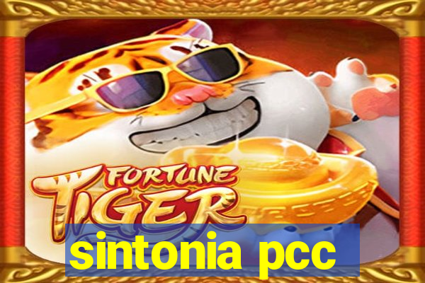 sintonia pcc